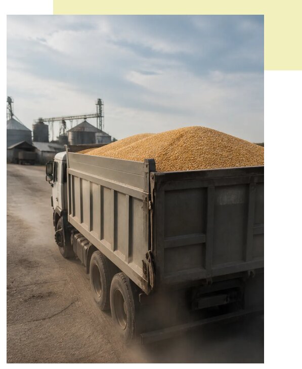 Перевозка сельхозпродукции навалом в Аксай по цене от 3047 р. | Агросервис-Акс