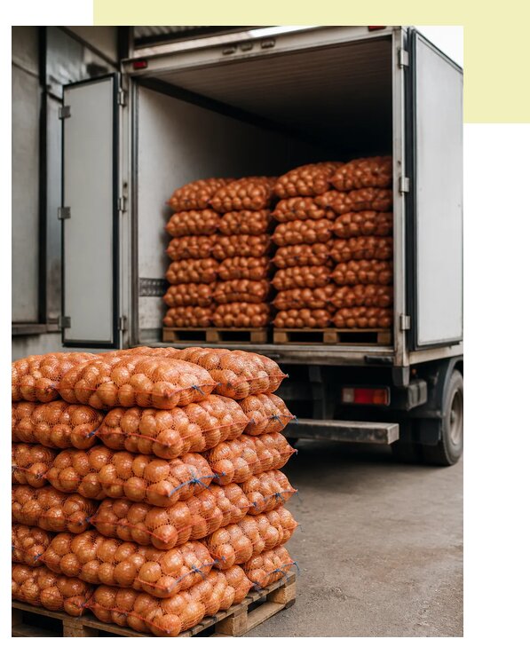 Перевозка лука рефрижератором в Аксай по цене от 5079 р. | Агросервис-Акс